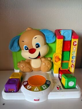 Fisher-Price Brown & Blue Puppy Activity Play Center with Colorful Blocks